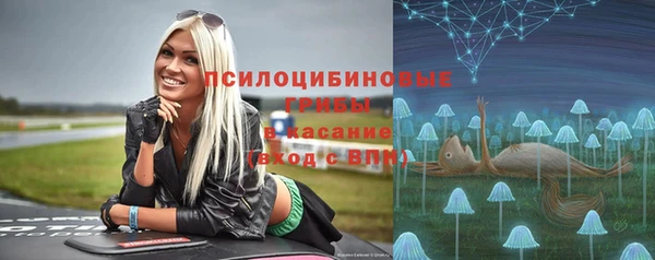 СК Алексин