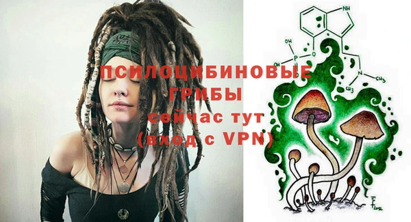винт Абаза