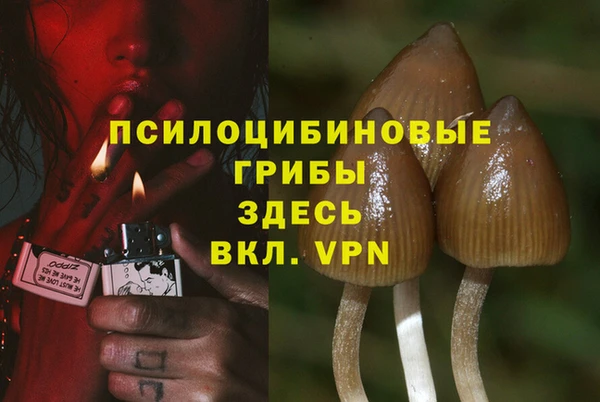 винт Абаза